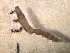  ( - SSI-Yuba-44348-H7)  @11 [ ] Unspecified (default): All Rights Reserved  Unspecified Unspecified