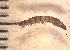 ( - SSI-Yuba-44349-A3)  @11 [ ] Unspecified (default): All Rights Reserved  Unspecified Unspecified