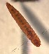  ( - SSI-Yuba-44346-F4)  @11 [ ] Unspecified (default): All Rights Reserved  Unspecified Unspecified