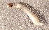  ( - SSI-Yuba-44348-B11)  @11 [ ] Unspecified (default): All Rights Reserved  Unspecified Unspecified