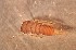  ( - SSI-Yuba-44349-D12)  @11 [ ] Unspecified (default): All Rights Reserved  Unspecified Unspecified