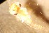  ( - SSI-Yuba-44349-E8)  @11 [ ] Unspecified (default): All Rights Reserved  Unspecified Unspecified