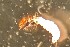  ( - SSI-Yuba-44349-F1)  @11 [ ] Unspecified (default): All Rights Reserved  Unspecified Unspecified