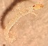  ( - SSI-Yuba-44349-H6)  @11 [ ] Unspecified (default): All Rights Reserved  Unspecified Unspecified