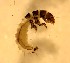  ( - SSI-Yuba-44347-E4)  @11 [ ] Unspecified (default): All Rights Reserved  Unspecified Unspecified