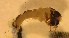  ( - SSI-Yuba-44347-E5)  @11 [ ] Unspecified (default): All Rights Reserved  Unspecified Unspecified
