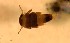  ( - SSI-Yuba-44347-F9)  @11 [ ] Unspecified (default): All Rights Reserved  Unspecified Unspecified