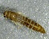  ( - SSI-Yuba-44350-D6)  @11 [ ] by-nc-sa (2024) Unspecified Sierra Streams Institute