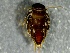  ( - SSI-Carson-49447-B5)  @11 [ ] by-nc-sa (2024) Unspecified Sierra Streams Institute