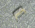  ( - SSI-Yuba-44350-F12)  @11 [ ] by-nc-sa (2024) Unspecified Sierra Streams Institute