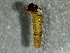  ( - SSI-Carson-49448-C1)  @11 [ ] by-nc-sa (2024) Unspecified Sierra Streams Institute