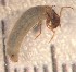  ( - SSI-Yuba-44346-B2)  @11 [ ] Unspecified (default): All Rights Reserved  Unspecified Unspecified