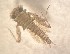  ( - SSI-Yuba-44348-E10)  @11 [ ] Unspecified (default): All Rights Reserved  Unspecified Unspecified