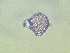  ( - SC-Saan-1.11)  @11 [ ] Unspecified (default): All Rights Reserved  Unspecified Unspecified