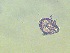  ( - SC-Saan-1.5)  @11 [ ] Unspecified (default): All Rights Reserved  Unspecified Unspecified