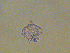  ( - SC-Saan-1.1)  @11 [ ] Unspecified (default): All Rights Reserved  Unspecified Unspecified