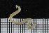  ( - UMBergen_DIOWA_MH29)  @11 [ ] No Rights Reserved (2018) Unspecified University of Bergen
