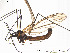  ( - FiDip124)  @12 [ ] CreativeCommons - Attribution Non-Commercial Share-Alike (2012) NTNU Museum of Natural History and Archaeology NTNU Museum of Natural History and Archaeology