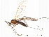  ( - FiDip131)  @13 [ ] CreativeCommons - Attribution Non-Commercial Share-Alike (2012) NTNU Museum of Natural History and Archaeology NTNU Museum of Natural History and Archaeology