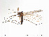  ( - FiDip132)  @12 [ ] CreativeCommons - Attribution Non-Commercial Share-Alike (2012) NTNU Museum of Natural History and Archaeology NTNU Museum of Natural History and Archaeology