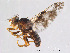  ( - FiDip48)  @12 [ ] CreativeCommons - Attribution Non-Commercial Share-Alike (2012) NTNU Museum of Natural History and Archaeology NTNU Museum of Natural History and Archaeology