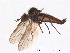 ( - FiDip77)  @12 [ ] CreativeCommons - Attribution Non-Commercial Share-Alike (2012) NTNU Museum of Natural History and Archaeology NTNU Museum of Natural History and Archaeology