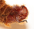  ( - NIAES-DIP0000112)  @11 [ ] by-sa  Unspecified National Agriculture and Food Research Organization, Institute for Agro-Environmental Sciences