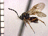  ( - DBA-17)  @13 [ ] Unspecified (default): All Rights Reserved  Unspecified Unspecified