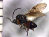  ( - DBA-24)  @13 [ ] No Rights Reserved  Unspecified Unspecified