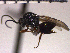  ( - DBA-25)  @13 [ ] No Rights Reserved  Unspecified Unspecified