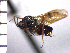  ( - DBA-4)  @13 [ ] Unspecified (default): All Rights Reserved  Unspecified Unspecified