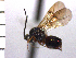  ( - DBA-6)  @13 [ ] Unspecified (default): All Rights Reserved  Unspecified Unspecified