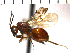  ( - DC-13)  @14 [ ] Unspecified (default): All Rights Reserved  Unspecified Unspecified