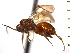  ( - DC-14)  @14 [ ] Unspecified (default): All Rights Reserved  Unspecified Unspecified