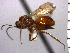  ( - DC-18)  @13 [ ] Unspecified (default): All Rights Reserved  Unspecified Unspecified