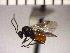  ( - DE-1)  @13 [ ] Unspecified (default): All Rights Reserved  Unspecified Unspecified
