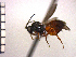  ( - DFR-T1)  @13 [ ] Unspecified (default): All Rights Reserved  Unspecified Unspecified