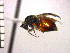  ( - DFR-T10)  @13 [ ] Unspecified (default): All Rights Reserved  Unspecified Unspecified