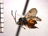  ( - DFR-T11)  @13 [ ] Unspecified (default): All Rights Reserved  Unspecified Unspecified