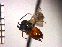  ( - DFR-T12)  @13 [ ] Unspecified (default): All Rights Reserved  Unspecified Unspecified