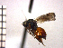 ( - DFR-T13)  @13 [ ] Unspecified (default): All Rights Reserved  Unspecified Unspecified