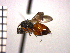  ( - DFR-T14)  @13 [ ] Unspecified (default): All Rights Reserved  Unspecified Unspecified