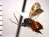  ( - DFR-T16)  @13 [ ] Unspecified (default): All Rights Reserved  Unspecified Unspecified
