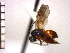  ( - DFR-T17)  @13 [ ] Unspecified (default): All Rights Reserved  Unspecified Unspecified