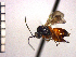  ( - DFR-T18)  @13 [ ] Unspecified (default): All Rights Reserved  Unspecified Unspecified