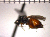  ( - DFR-T2)  @13 [ ] Unspecified (default): All Rights Reserved  Unspecified Unspecified
