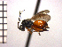  ( - DFR-T20)  @13 [ ] Unspecified (default): All Rights Reserved  Unspecified Unspecified