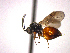  ( - DFR-T3)  @13 [ ] Unspecified (default): All Rights Reserved  Unspecified Unspecified