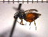  ( - DFR-T4)  @13 [ ] Unspecified (default): All Rights Reserved  Unspecified Unspecified
