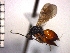  ( - DFR-T5)  @13 [ ] Unspecified (default): All Rights Reserved  Unspecified Unspecified